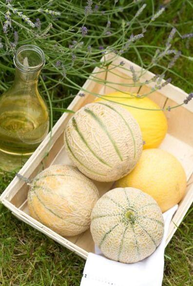 康县二饼网红吃瓜,网红吃瓜界的“瓜王”传奇