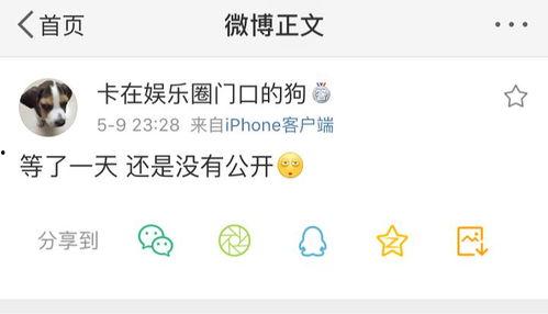 吃瓜爆料在线官网,热门八卦一网打尽