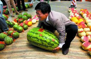 吃瓜网每日大赛最新入口