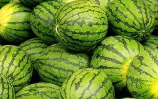 吃瓜网每日大赛最新入口