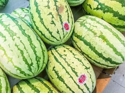 网传4个吃瓜,四款“吃瓜神器”背后的故事