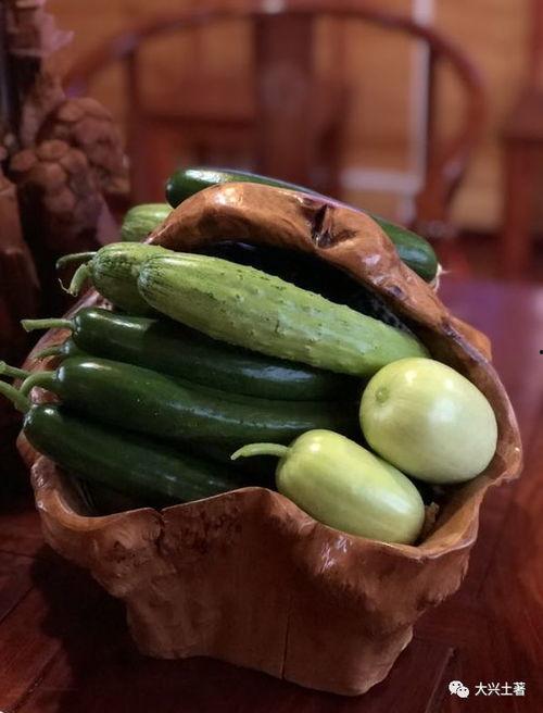 莱阳吃瓜网红是谁啊,网络红人的崛起之路