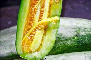 网红吃瓜白珍珠视频,口感揭秘引网友热议