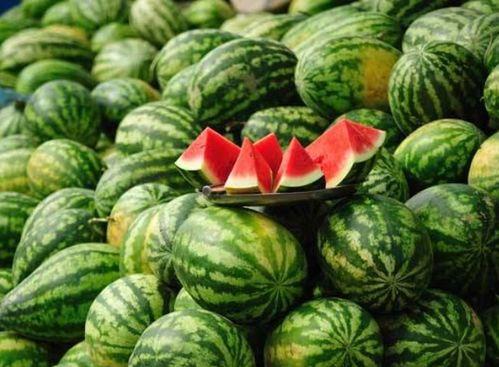 网红吃瓜白珍珠视频,口感揭秘引网友热议