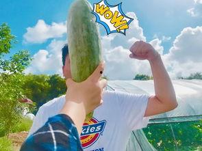 吃瓜网红小孩是谁啊,吃瓜网红小孩背后的故事