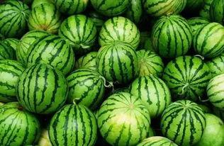 qq网红吃瓜群,娱乐圈幕后风云尽收眼底