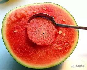 澄海网红吃瓜群微信,揭秘网络红人背后的故事与八卦