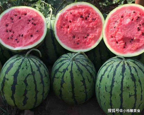 吃瓜网免费网站,畅享网络娱乐新体验