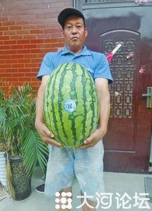 51吃大瓜官网有啥视频,51吃大瓜官网热门视频大盘点