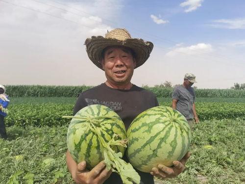 吃瓜网怒江网红,吃瓜网热议的神秘人物
