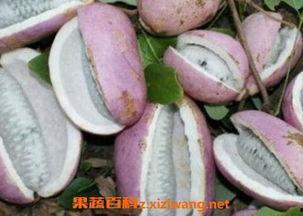 网购的八月瓜怎么吃,轻松解锁美味新食法