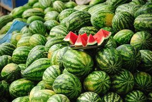 微密圈网红吃瓜网站