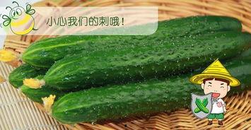 六六酱吃瓜网官网,带你领略网络吃瓜文化的魅力