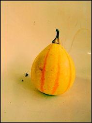 新沂吃瓜网,揭秘本地热点事件，畅享轻松娱乐时光