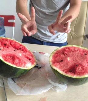 没有刀怎么吃网瓜,探索网瓜的独特食用之道