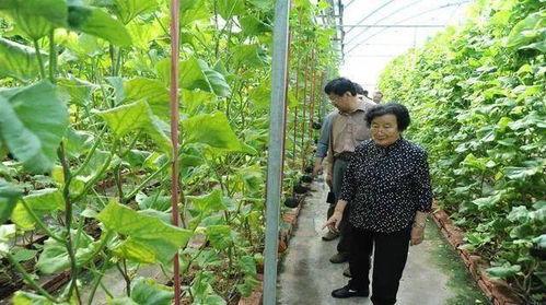 湘潭网红吃瓜事件是真的吗,真相揭秘还是网络谣言？