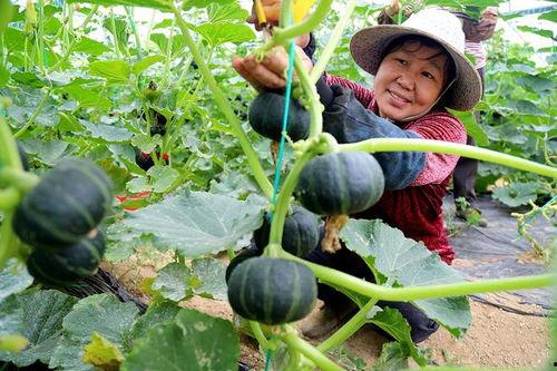 2000万网红吃瓜,一场吃瓜盛宴席卷网络