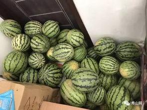 番瓜网吃瓜视频在线观看