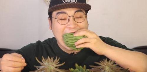 吃瓜小哥网红叫什么来着