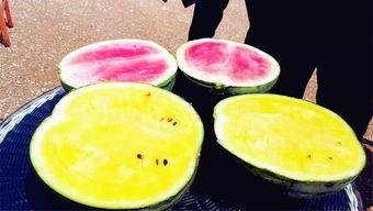 每日大赛官网吃瓜爆料,揭秘幕后精彩瞬间