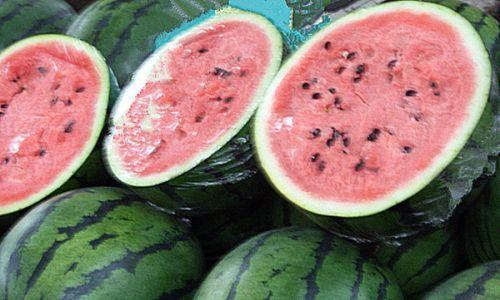 吃瓜网51cg30me,带你走进神秘的网络世界