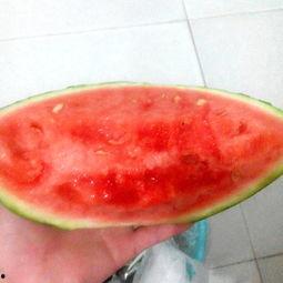 臭打球的吃瓜网,揭秘吃瓜网上的热门话题与幕后故事