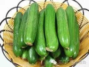 网瓜是软的硬的吗怎么吃,探索美味网瓜的独特食法