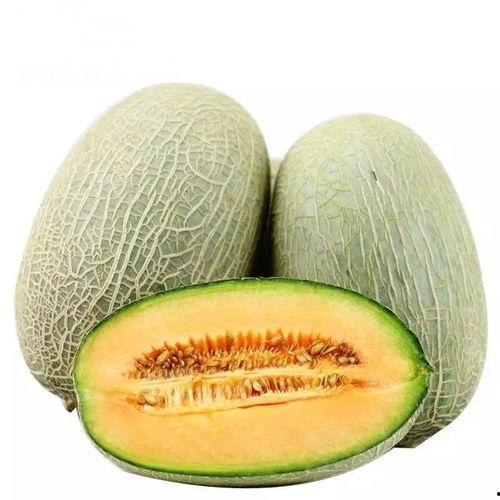 网瓜是软的硬的吗怎么吃,探索美味网瓜的独特食法