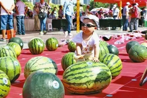 吃瓜王官网,带你领略网络娱乐新风向