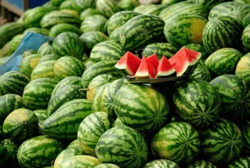 还有哪些吃瓜的网红名字,盘点那些独具特色的吃瓜网红名字