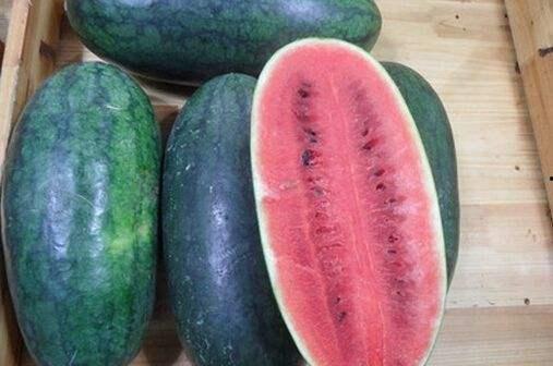 吃瓜爆料网红黑料区别在哪,揭秘吃瓜爆料与网红黑料之间的本质区别