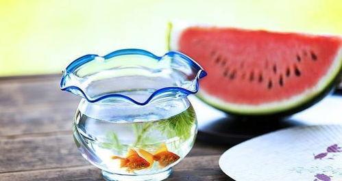 暗黑吃瓜官网正版,揭秘网络暗流涌动的神秘世界