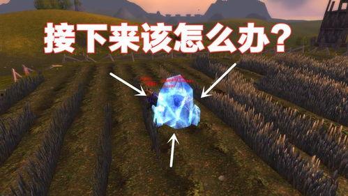 黑暗世界吃瓜网爆料,揭秘娱乐圈惊人内幕