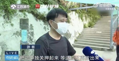 成都网红吃瓜团队是谁,揭秘网红背后的神秘力量