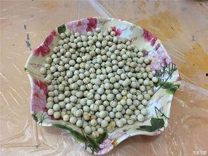 五一素材吃瓜网,揭秘热门事件背后的真相