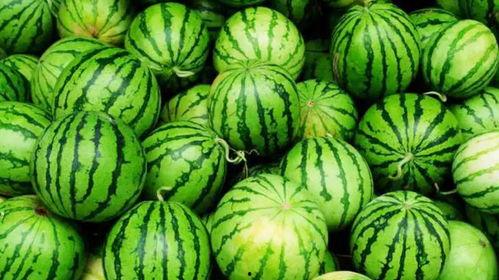 热门网爆吃瓜,揭秘娱乐圈最新热点事件！