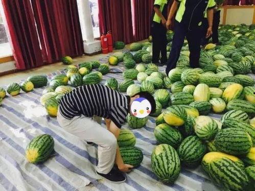 大学吃瓜网,揭秘校园热点事件，带你领略校园生活百态