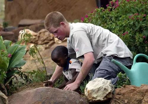 英国吃瓜网,揭秘英国娱乐圈最新热点与幕后故事