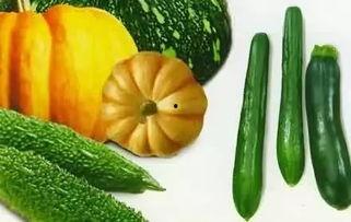 每日推荐网红吃瓜,每日推荐，揭秘娱乐圈幕后故事