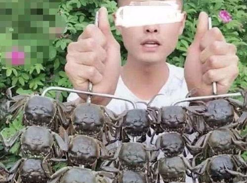 陇西网红吃瓜事件真相是真的吗,真相揭秘，还原事件始末