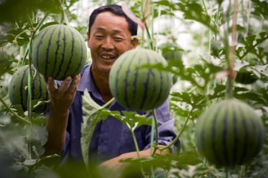 暗吃瓜网今日吃瓜,揭秘今日热门吃瓜事件，带你领略娱乐圈风云变幻