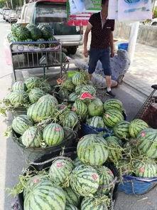 长沙吃瓜网红事件,一场网络舆论的风暴与反思